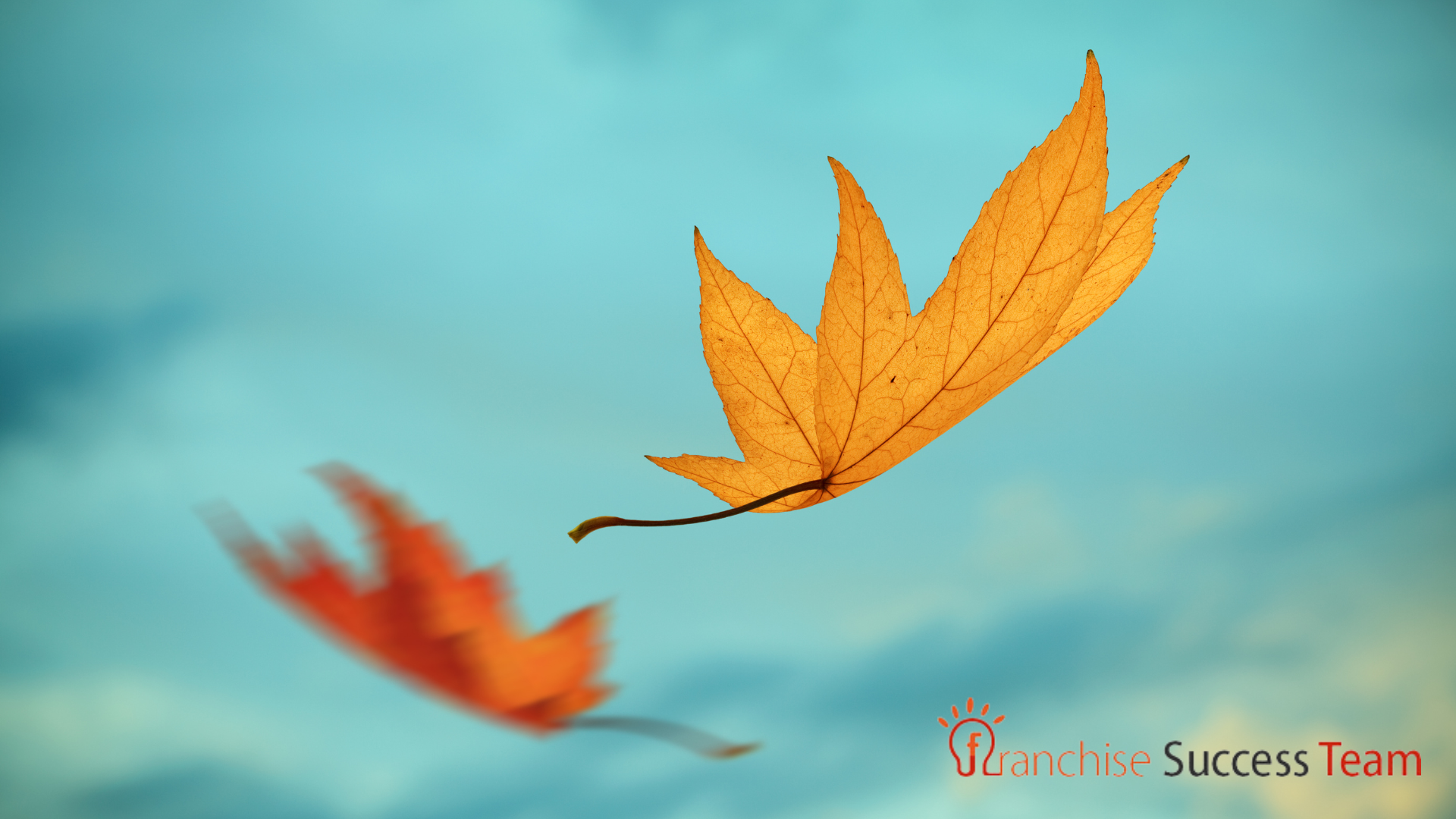 Fall Into Growth: Seasonal Campaign Ideas That Work Across Every Franchise Location fall into growth seasonal campaign ideas that work across every franchise location